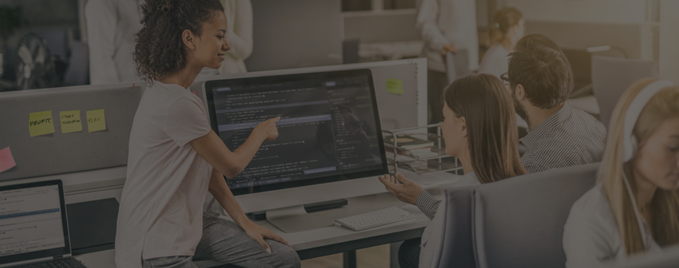 software header